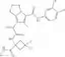 Fig. 123 - Substituted pyrrolizine compounds and uses thereof