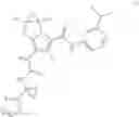Fig. 200 - Substituted pyrrolizine compounds and uses thereof