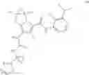 Fig. 206 - Substituted pyrrolizine compounds and uses thereof