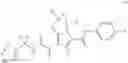 Fig. 219 - Substituted pyrrolizine compounds and uses thereof