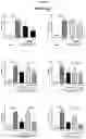 Fig. 04 - Pharmaceutical compositions for combination therapy