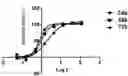 Fig. 01 - Glaucocalyxin a derivative, pharmaceutically acceptable salt thereof, or pharmaceutical composition thereof and uses thereof in preparation of drugs for treating psoriasis