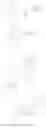 Fig. 46 - Isoindoline derivative, pharmaceutical composition and use thereof