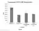 Fig. 09 - Kinase inhibitors and methods of use thereof