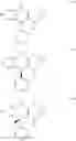 Fig. 201 - Kinase inhibitors and methods of use thereof