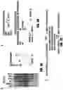 Fig. 04 - Anti-aging compounds