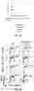Fig. 09 - Methods for treating B cell proliferative disorders