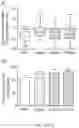 Fig. 26 - COMPOUNDS, COMPOSITIONS AND METHODS USEFUL FOR CHOLESTEROL MOBILIZATION
