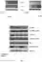 Fig. 08 - Chemotherapeutic drug composition