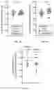 Fig. 10 - Methods for inhibiting muscle atrophy