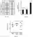 Fig. 16 - Methods for inhibiting muscle atrophy