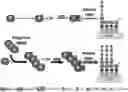 Fig. 01 - METHODS AND COMPOSITIONS FOR TREATING DISORDERS ASSOCIATED WITH MUSCLE WEAKNESS