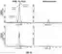 Fig. 03 - METHODS AND COMPOSITIONS FOR TREATING DISORDERS ASSOCIATED WITH MUSCLE WEAKNESS