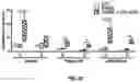 Fig. 04 - METHODS AND COMPOSITIONS FOR TREATING DISORDERS ASSOCIATED WITH MUSCLE WEAKNESS