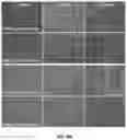 Fig. 28 - METHODS AND COMPOSITIONS FOR TREATING DISORDERS ASSOCIATED WITH MUSCLE WEAKNESS