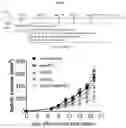 Fig. 07 - RIG-I AGONISTS AND METHODS USING SAME