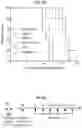 Fig. 35 - RIG-I AGONISTS AND METHODS USING SAME