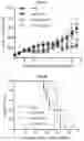Fig. 44 - RIG-I AGONISTS AND METHODS USING SAME
