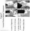 Fig. 06 - Silicate containing compositions and methods of treatment