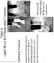 Fig. 07 - Silicate containing compositions and methods of treatment