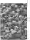 Fig. 02 - SURFACE-REACTED CALCIUM CARBONATE FOR DESENSITIZING TEETH