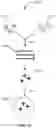 Fig. 10 - Compositions and methods for treating transient biofilms