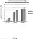 Fig. 19 - Compositions and methods for treating transient biofilms