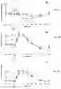 Fig. 03 - Composition and use of macro-minerals to lower postprandial glycemic response and reduce body weight