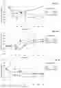 Fig. 09 - Composition and use of macro-minerals to lower postprandial glycemic response and reduce body weight