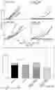 Fig. 06 - Dendritic Cells as a Novel Delivery System for Immunotherapy