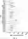Fig. 03 - IL13Ra2-binding chimeric antigen receptors