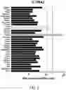 Fig. 04 - IL13Ra2-binding chimeric antigen receptors