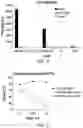 Fig. 05 - IL13Ra2-binding chimeric antigen receptors