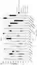 Fig. 41 - Protective Chimeric Antigen Receptor Stem Cell Gene Therapy for Viral Infection