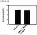 Fig. 07 - Engineering stem cells for cancer therapy