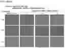 Fig. 32 - Engineering stem cells for cancer therapy