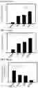 Fig. 50 - Engineering stem cells for cancer therapy