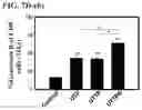 Fig. 53 - Engineering stem cells for cancer therapy