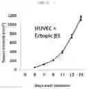 Fig. 16 - METHODS FOR MAKING AND USING DEDIFFERENTIATED AND STEM-LIKE HUMAN CELLS