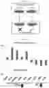 Fig. 27 - METHODS FOR MAKING AND USING DEDIFFERENTIATED AND STEM-LIKE HUMAN CELLS