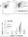 Fig. 30 - METHODS FOR MAKING AND USING DEDIFFERENTIATED AND STEM-LIKE HUMAN CELLS