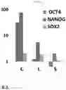 Fig. 34 - METHODS FOR MAKING AND USING DEDIFFERENTIATED AND STEM-LIKE HUMAN CELLS