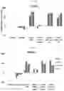 Fig. 35 - METHODS FOR MAKING AND USING DEDIFFERENTIATED AND STEM-LIKE HUMAN CELLS