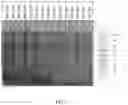 Fig. 09 - Reaction platform and method for making pollen based materials and uses thereof