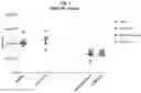 Fig. 02 - Compositions comprising bacterial strains