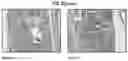 Fig. 65 - Compositions comprising bacterial strains