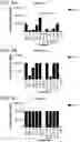 Fig. 03 - Probiotic compositions containing clostridiales for inhibiting inflammation