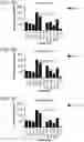 Fig. 04 - Probiotic compositions containing clostridiales for inhibiting inflammation