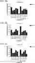 Fig. 08 - Probiotic compositions containing clostridiales for inhibiting inflammation