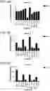 Fig. 11 - Probiotic compositions containing clostridiales for inhibiting inflammation